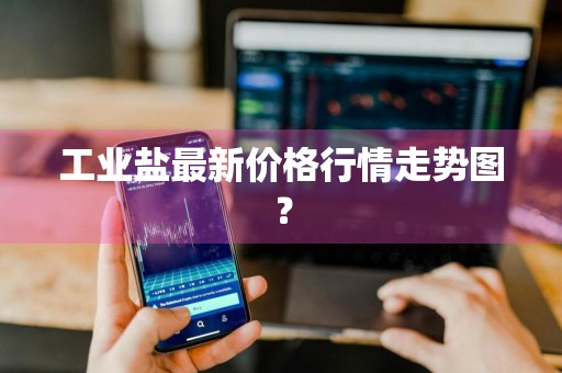 工业盐最新价格行情走势图？