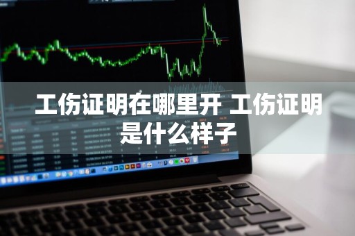 工伤证明在哪里开 工伤证明是什么样子