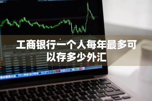 工商银行一个人每年最多可以存多少外汇
