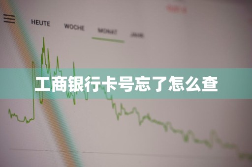 工商银行卡号忘了怎么查