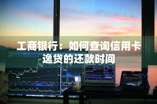 工商银行：如何查询信用卡逸贷的还款时间