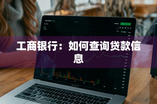 工商银行：如何查询贷款信息