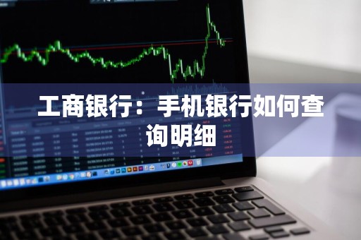 工商银行：手机银行如何查询明细