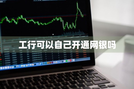 工行可以自己开通网银吗
