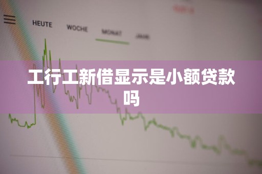 工行工新借显示是小额贷款吗