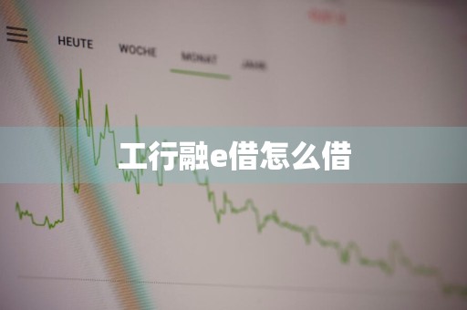 工行融e借怎么借