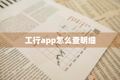 工行app怎么查明细