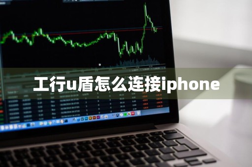 工行u盾怎么连接iphone