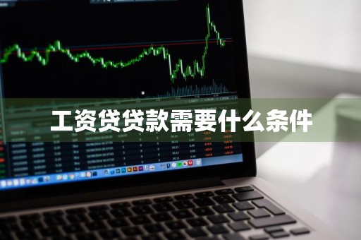 工资贷贷款需要什么条件