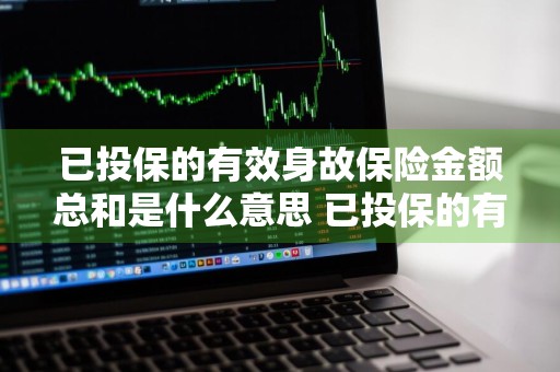 已投保的有效身故保险金额总和是什么意思 已投保的有效身故保险金额总和为什么