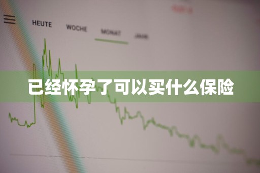 已经怀孕了可以买什么保险