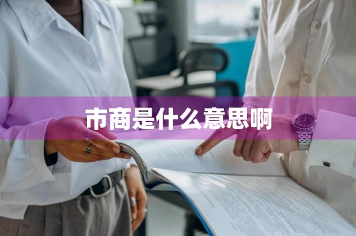 市商是什么意思啊