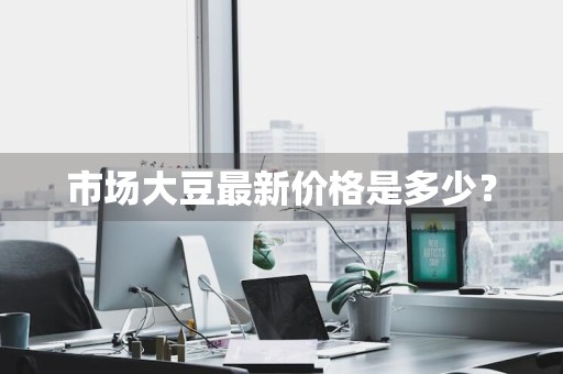 市场大豆最新价格是多少?