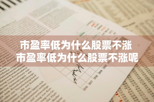 市盈率低为什么股票不涨 市盈率低为什么股票不涨呢
