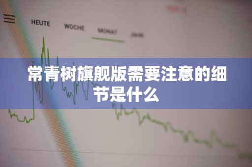 常青树旗舰版需要注意的细节是什么