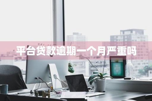 平台贷款逾期一个月严重吗