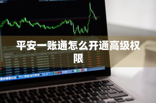 平安一账通怎么开通高级权限