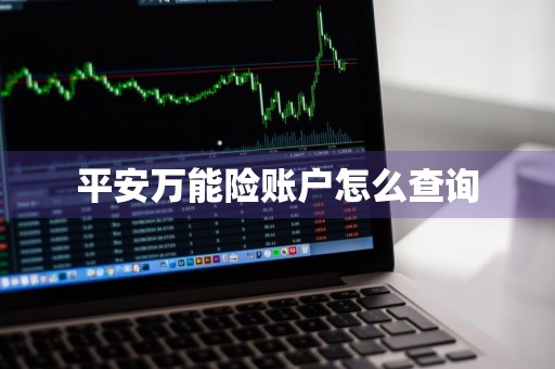 平安万能险账户怎么查询