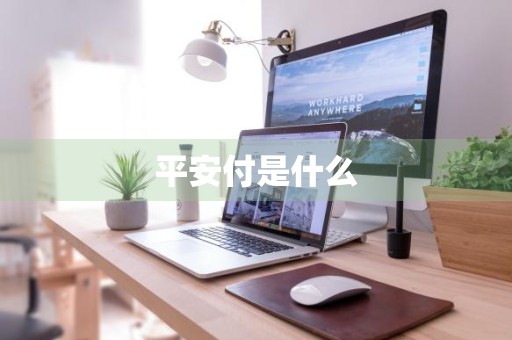 平安付是什么