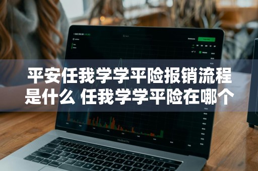平安任我学学平险报销流程是什么 任我学学平险在哪个平台买