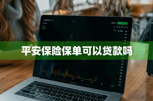 平安保险保单可以贷款吗