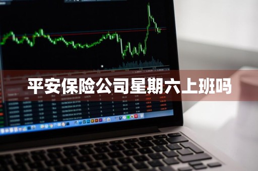 平安保险公司星期六上班吗