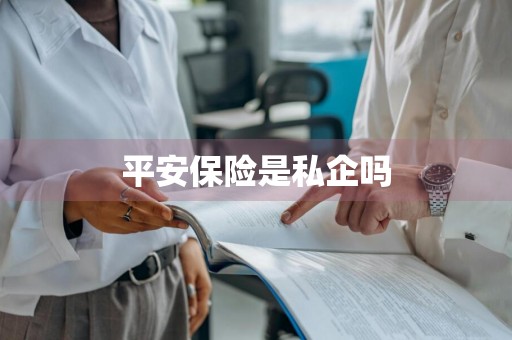 平安保险是私企吗