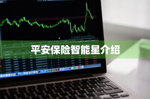 平安保险智能星介绍