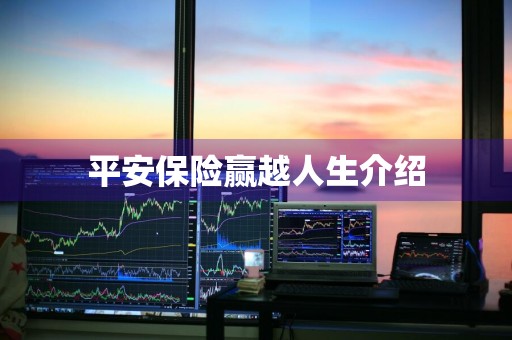平安保险赢越人生介绍