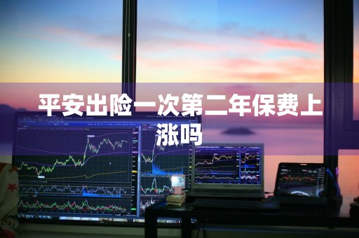 平安出险一次第二年保费上涨吗