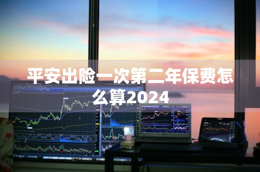 平安出险一次第二年保费怎么算2024