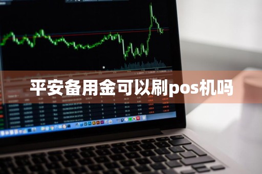 平安备用金可以刷pos机吗
