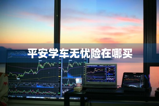 平安学车无忧险在哪买