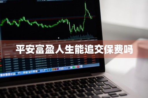平安富盈人生能追交保费吗