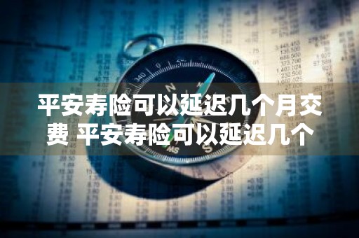 平安寿险可以延迟几个月交费 平安寿险可以延迟几个月交费吗