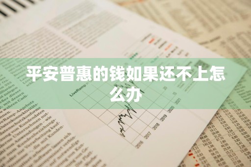 平安普惠的钱如果还不上怎么办