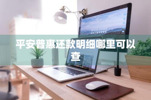 平安普惠还款明细哪里可以查