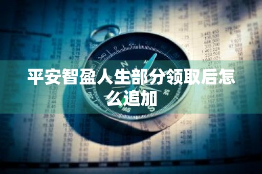 平安智盈人生部分领取后怎么追加