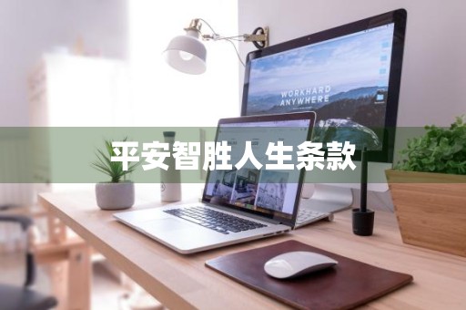 平安智胜人生条款
