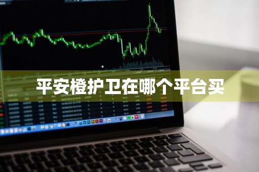 平安橙护卫在哪个平台买