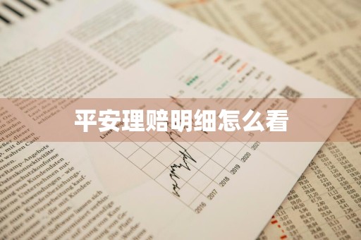 平安理赔明细怎么看