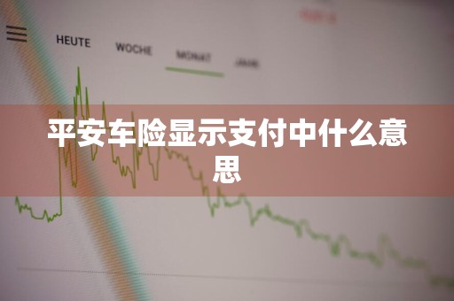 平安车险显示支付中什么意思