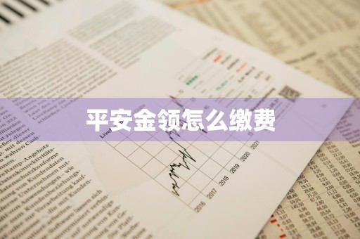 平安金领怎么缴费