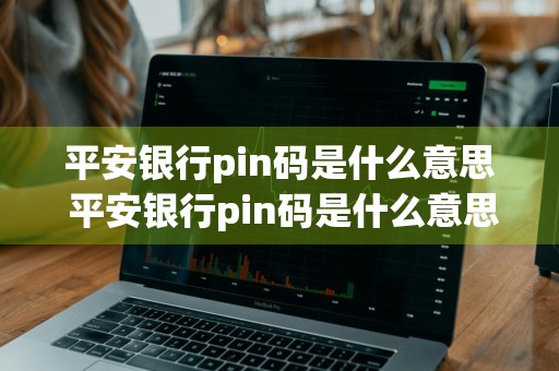 平安银行pin码是什么意思 平安银行pin码是什么意思啊
