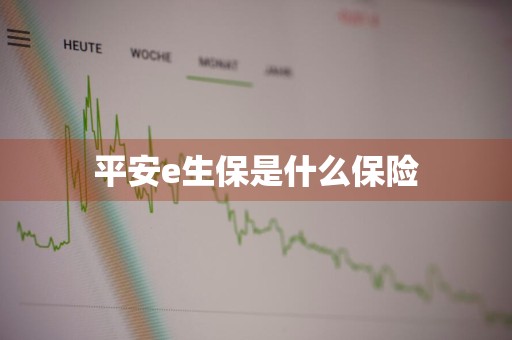 平安e生保是什么保险