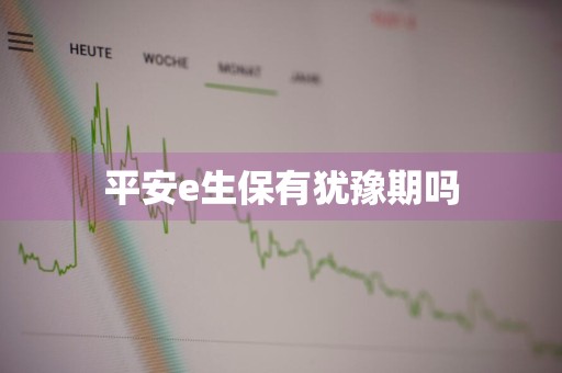 平安e生保有犹豫期吗