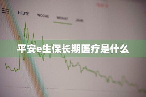 平安e生保长期医疗是什么