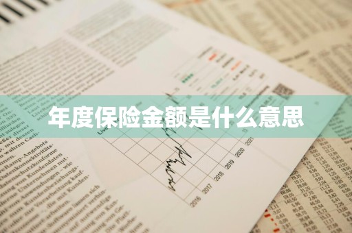 年度保险金额是什么意思