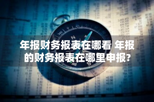 年报财务报表在哪看 年报的财务报表在哪里申报?