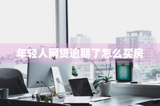 年轻人网贷逾期了怎么买房